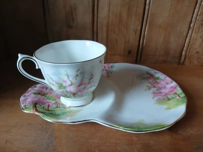 винтажный английский Royal Albert кости фарфора ТВ чашка блюдце теннис Blossom время - Изображение 1 из 4