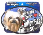 MY YORKSHIRE TERRIER LOVES HILTON HEAD Magnet, Gifts, Refrigerators, Car