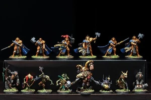 House Baratheon Pro Painted Army Builder - ASOIAF Mini COMMISSION Game of Throne - Picture 1 of 45