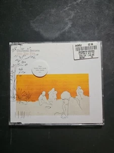 THIRTEEN SENSES : Into The Fire - Europe CD Single - Foto 1 di 1