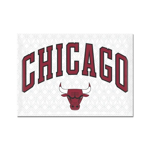 WinCraft Chicago Bulls 2.5'' x 3.5'' City Edition Fridge Magnet Cover