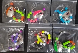 Colorado Lake Erie Walleye Candy Worm Harness (1) set (6) harnesses Bigeyelaser - Picture 1 of 7