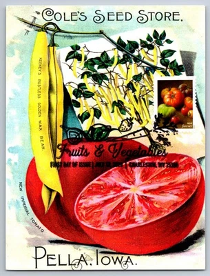 #5485 Fruits and Vegetables Tomatoes FDC Maxi Card w/Pictorial Cancel - Image 1 of 2