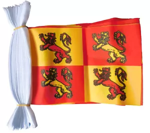 OWAIN GLYN DWR 3 METER FAHNE 10 FAHNEN Flagge 3M WALES WALISISCH - Bild 1 von 1
