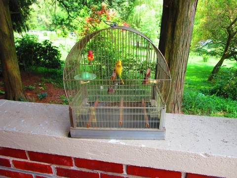VINTAGE VICOTRIAN STYLE ART DECO HENDRYX HANGING METAL WIRE DOME BIRD CAGE Cover