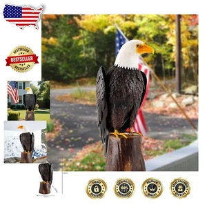 Beautiful Bald Eagle Outdoor Sculpture - Handcrafted Metal Art for Home & Garden - Picture 1 of 11