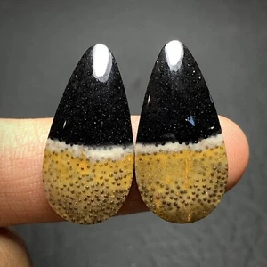 Natural Petrified Palm Wood Cabochon Pair 26x13x4mm High Quality 22 ct (each) - Picture 1 of 5