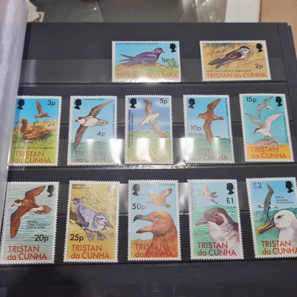 ПТИЦЫ TRISTAN DA CUNHA 1977 SG 220-231 КАК НОВЫЕ БЕЗ НАКЛЕЕК И СЛЕДОВ - Изображение 1 из 1