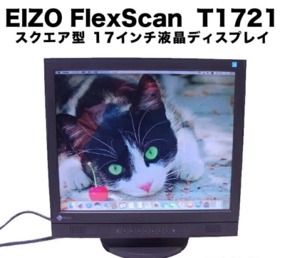 EIZO FlexScan T1721 Square Type 17 inch LCD Monitor 4:3 Display - Image 1 of 4