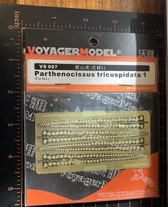 Voyager VS 007 Maple Parthenocissus tricuspidata 1 brass set - Picture 1 of 1