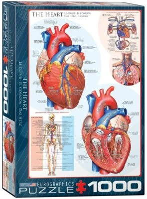 The Heart 1000 piece jigsaw puzzle by Eurographics 490mm x 680mm - Image 1 of 3