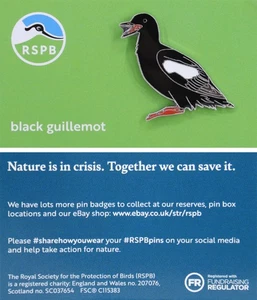 RSPB Pin Badge NIIC Black Guillemot P03191 - Picture 1 of 1