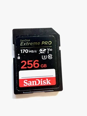 SanDisk Extreme Pro SDXC Speicherkarte 256GB (SDSDXXY-256G-GN4IN) - Bild 1 von 2