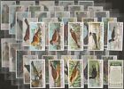 Ogdens-Full Set- British Birds (1St Series 01-50 50 Cards)