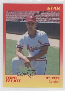 1989 Star St Petersburg Cardinals Terry Elliot #10