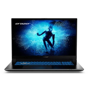 ERAZER DEFENDER P50 Gaming Notebook 43,9cm/17,3" FHD i7 13. Gen 2TB SSD 32GB RAM - Bild 1 von 10