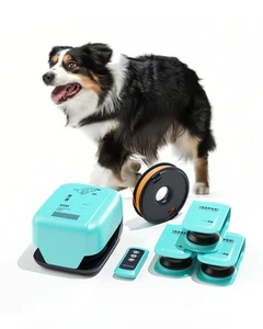 Lure Coursing Machine for Dog Chasing Game, Dog Agility Equipment, Motorized ... - Bild 1 von 9