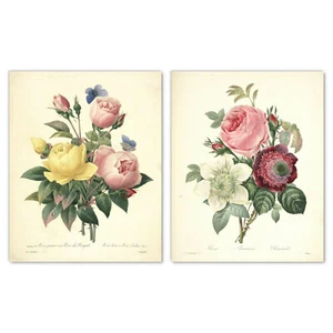 Impresiones artísticas de pared de rosa francesa, conjunto de 2 rosa rosa rosa de Pierre-Joseph Redouté - Imagen 1 de 7