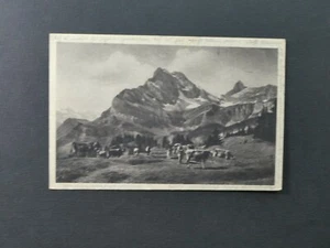 389 Braunwalderalp con bastone, 1922 Kt. Cartolina Glarona Svizzera - Foto 1 di 2