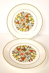 Vintage Corelle Dinnerware Salad Plates 8 1/2" Indian Summer Quantity of  8 - Picture 1 of 11