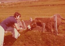 Vintage Found Photo - 1975 - Pretty Woman Pets A Donkey On Farm In Rural Ireland