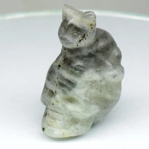 💎 64.96ct Cat On a Skull Carving Natural Rainbow With Luster Labradorite Gem - Picture 1 of 7