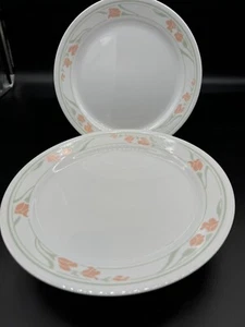 Vintage Corelle Peach Ghirland 10 Piatti 1/4" 2 Ct. Boho ottime condizioni - Foto 1 di 4