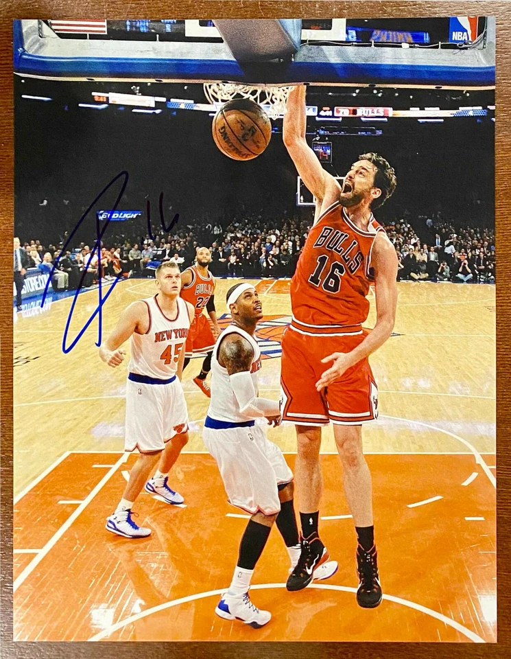 FOTO autógrafa firmada por PAU GASOL Chicago Bulls 11x14 6x All-Star 2x campeón de la NBA Foto 1 de 1