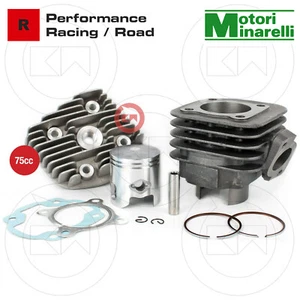 GRUPPO TERMICO D.47 75cc KIT CILINDRO PER MOTORE MINARELLI ORIZZONTALE ARIA AC - Imagen 1 de 6