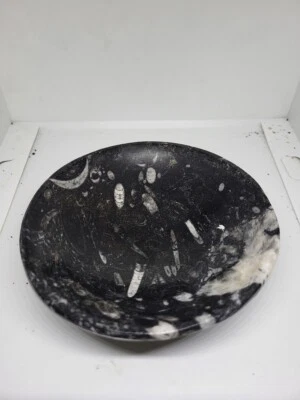 ~ Stunning Orthoceras Fossil Bowl - 4.6"/118.5mm Around - 1.4" Tall - Image 1 of 2
