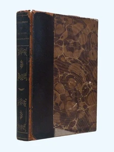 EMILE VERHAEREN Les Villes Tentaculaires, Campagnes Hallucinees 1908, limited ed - Foto 1 di 7