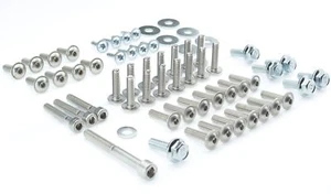 Juego de revestimiento de tornillos Aprilia RS 50 125 1995 - 2005 juego de tornillos plata - Imagen 1 de 1
