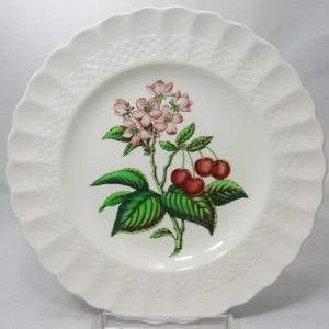 GLENDALE CHERRY by Spode Dinner Plate 10.5" NEW NEVER USED made in England - Picture 1 of 5