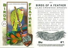 2021 Allen Ginter Inserts MURAD HITS NONSPORTS Cards Buy 2 Get 2 FREE Ships FREE