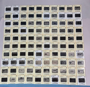 Vtg 1950s US Navy ID Recognition Training 35mm Photo SLIDES 100 USA War Planes - Picture 1 of 19
