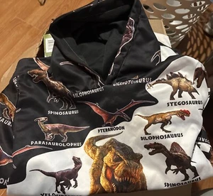 Men’s Medium Dinosaur Hoodie - Picture 1 of 3