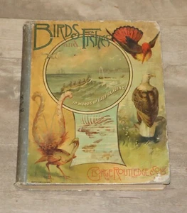 Vögel und Fische | *1886* naturhistorische Studien ILLUSTRIERT - George Routledge - Bild 1 von 10