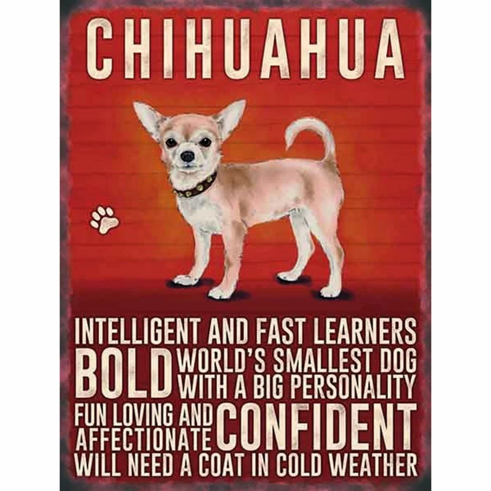 Chihuahua dog personality mancave/shed/bar Metal Wall Sign Foto 1 de 1