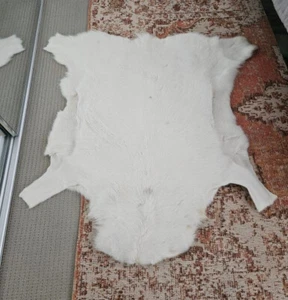 Reindeer Hide Skin Rug Albino (Snow White) 1m x 1.4m RRP$595 - Picture 1 of 2