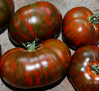 Chocolate Stripes Tomato Seeds 50+ Indeterminate Vegetable Garden Free Shipping