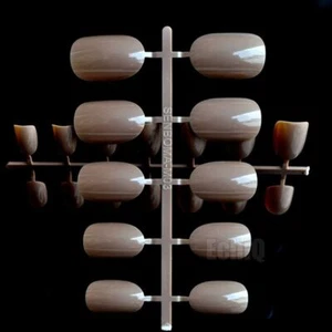 24 Short Squoval acrylic French Manicure Fake Tips Press On Full Cover Nails - Picture 1 of 3