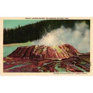 Yellowstone National Park Sponge Geyser Postcard Vintage Unposted - Picture 1 of 2