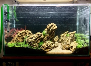 NATURAL DRAGON STONE ROCK ORNAMENT & DECORATION SHRIMP TANK IWAGUMI AQUASCAPING - Picture 1 of 6