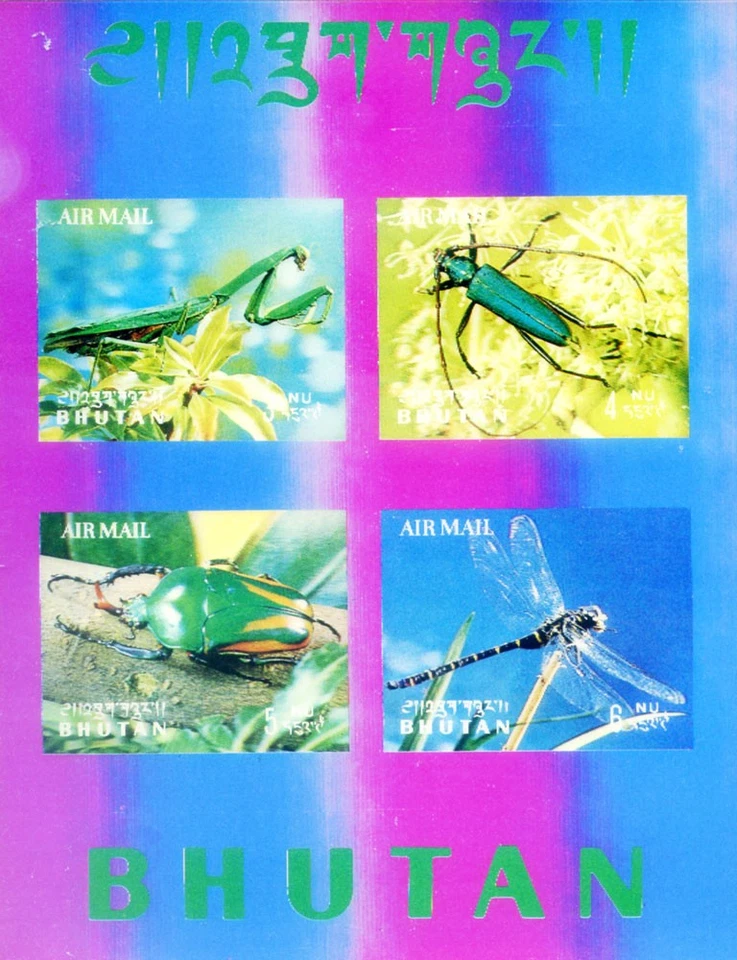 Fauna. Insectos 1969. Foto 1 de 1