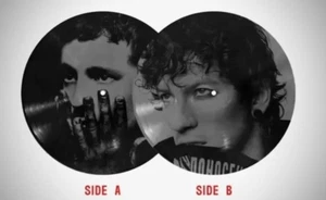 Twenty One Pilots Breach Picture Disc Raw Fear Vinyl In Hand Ships Now! - Picture 1 of 3