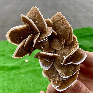 170G Natural Africa Selenite Desert Rose Crystal Cluster minerals healing - Picture 1 of 20