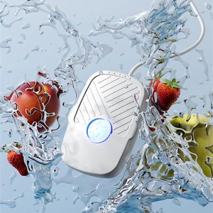 Fruit And Vegetable Washing Machine Fruit And Vegetable Cleaner Device - Picture 1 of 12