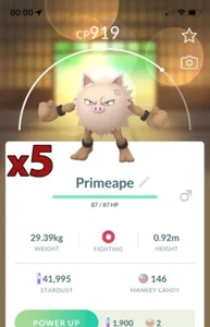 ¡Paquete de 5 Pokémon Primeape!! ¡Buena oportunidad de suerte y buenos IV!! Go - Imagen 1 de 1