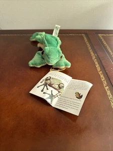 E4 Beanie Frosch Smithsonian British Airway Frosch Spielzeug Tier - Bild 1 von 10