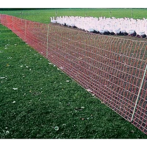 Euronetz Geflügel, 112 cm - mit Doppelspitze, 50 m Schutznetz Geflügelnetz Netz - Bild 1 von 3